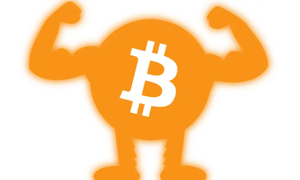 varlė bitcoin bitcoin prekybos platformos programinė įranga